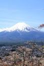 Mt. Fuji and cherry blossoms