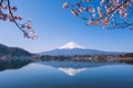 Mt.Fuji and Cherry Tree Royalty Free Stock Photo