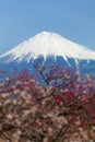 Mt.Fuji Royalty Free Stock Photo