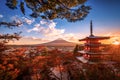 Mt. Fuji with Chureito Pagoda and red leaf in the autumn on sunset at Fujiyoshida, Japan Royalty Free Stock Photo