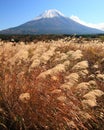 Mt. Fuji in Fall Royalty Free Stock Photo