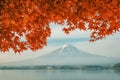 Mt. Fuji with fall colors in Japan Royalty Free Stock Photo