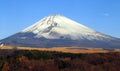 Mt. Fuji In The Fall