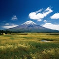 Mt Fuji with grassland and blue sky, Fujiyoshida, Japan