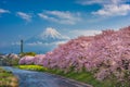 Mt. Fuji, Japan along the Urui River in Spring Royalty Free Stock Photo