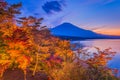Mt. Fuji, Japan Royalty Free Stock Photo