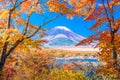 Mt. Fuji, Japan Autumn Landscape