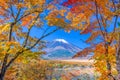 Mt. Fuji, Japan with Fall Foliage