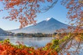 Mt. Fuji, Japan on Lake Kawaguchi with autumn foliage Royalty Free Stock Photo