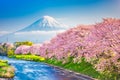 Mt. Fuji, Japan spring landscape