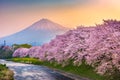 Mt. Fuji, Japan from Shizuoka Prefecture in Spring Royalty Free Stock Photo