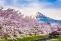 Mt. fuji Japan in Spring Royalty Free Stock Photo