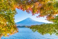 Mt. Fuji with Japanese maple in autumn