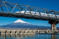 Mt. Fuji and Japanese train