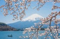 kawaguchiko lake of Japan,Mount Fuji Cherry blossoms or Sakura Royalty Free Stock Photo