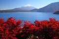 Mt. Fuji and Lake Motosu Royalty Free Stock Photo