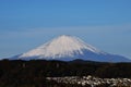 Mt.Fuji Royalty Free Stock Photo