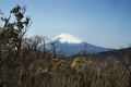 Mt. Fuji Royalty Free Stock Photo