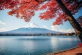 Mt Fuji with maple leaf at Kawaguchiko lake in Japan. Beautiful Fuji mountain and lake landscape view with colorful tree leaves, Royalty Free Stock Photo