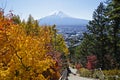 Mt.Fuji and maples