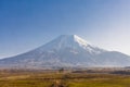 Mt. Fuji with meadow views