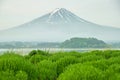 Mt fuji in morning at kawaguchi, Japan Royalty Free Stock Photo