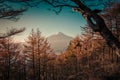 Mt. Fuji over Lake Kawaguchiko with autumn foliage at sunrise in Fujikawaguchiko, Japan Royalty Free Stock Photo