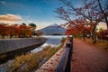 Mt. Fuji over Lake Kawaguchiko with autumn foliage at sunrise in Fujikawaguchiko, Japan Royalty Free Stock Photo