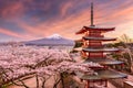 Mt. Fuji and Pagoda in Spring Royalty Free Stock Photo