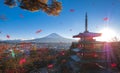 Mt. Fuji and public temple with fall autumn colors in Japan. Hakone Izu / maple