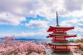 Mt Fuji with red pagoda in cherry blossom sakura in spring season. Royalty Free Stock Photo