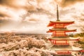 Mt Fuji with red pagoda in cherry blossom sakura in spring season. Royalty Free Stock Photo