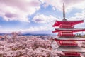 Mt Fuji with red pagoda in cherry blossom sakura in spring season. Royalty Free Stock Photo