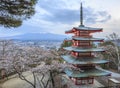 Mt.fuji with sakura foreground at Chureito pagoda