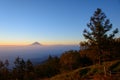 Mt.Fuji and Sea of clouds in the early morning Royalty Free Stock Photo