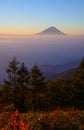 Mt.Fuji and Sea of clouds in the early morning Royalty Free Stock Photo