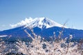 Mt. Fuji, spring landscape Japan Royalty Free Stock Photo
