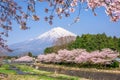 Mt. Fuji in Spring Royalty Free Stock Photo