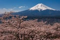 Mt. Fuji in the spring time with cherry blossoms at kawaguchiko Fujiyoshida, Japan. Mount Fuji is Japan tallest mountain and Royalty Free Stock Photo