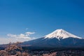 Mt. Fuji in the spring time with cherry blossoms at kawaguchiko Fujiyoshida, Japan. Mount Fuji is Japan tallest mountain and popul Royalty Free Stock Photo