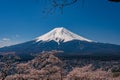 Mt. Fuji in the spring time with cherry blossoms at kawaguchiko Fujiyoshida, Japan. Mount Fuji is Japan tallest mountain and Royalty Free Stock Photo