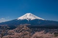 Mt. Fuji in the spring time with cherry blossoms at kawaguchiko Fujiyoshida, Japan. Mount Fuji is Japan tallest mountain and Royalty Free Stock Photo