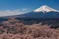 Mt. Fuji in the spring time with cherry blossoms at kawaguchiko Fujiyoshida, Japan. Mount Fuji is Japan tallest mountain and Royalty Free Stock Photo