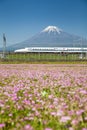 Mt Fuji and Tokaido Shinkansen