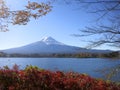Mt. Fuji Viewed Between Fall Leaves and Tree Branches