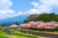 Mt. Fuji viewed from rural Shizuoka Prefecture in spring season Royalty Free Stock Photo