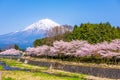 Mt. Fuji viewed from rural Shizuoka Prefecture Royalty Free Stock Photo