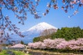 Mt. Fuji viewed from rural Shizuoka Prefecture Royalty Free Stock Photo
