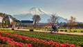 Yamanakako Hanano Miyako Koen park with iconic Mount Fuji in the background