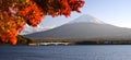 Mt. Fujiin Autumn Royalty Free Stock Photo